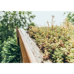 AboutGreen Dachbegrünung Roll und Go Dachneigung 5-10