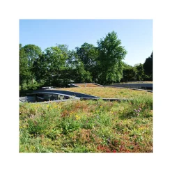 AboutGreen Gründachsystem Aromadach bis 10 Dachneigung 1 m²