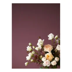 Alpina Feine Farben Farbe der Könige 2,5 L