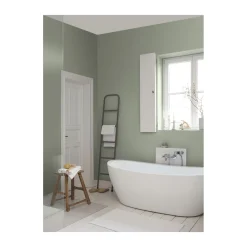 Alpina Feine Farben Sanfter Morgentau 2,5 L