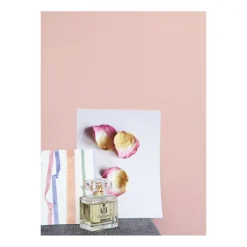 Alpina Feine Farben Wolken in Rose 2,5 L