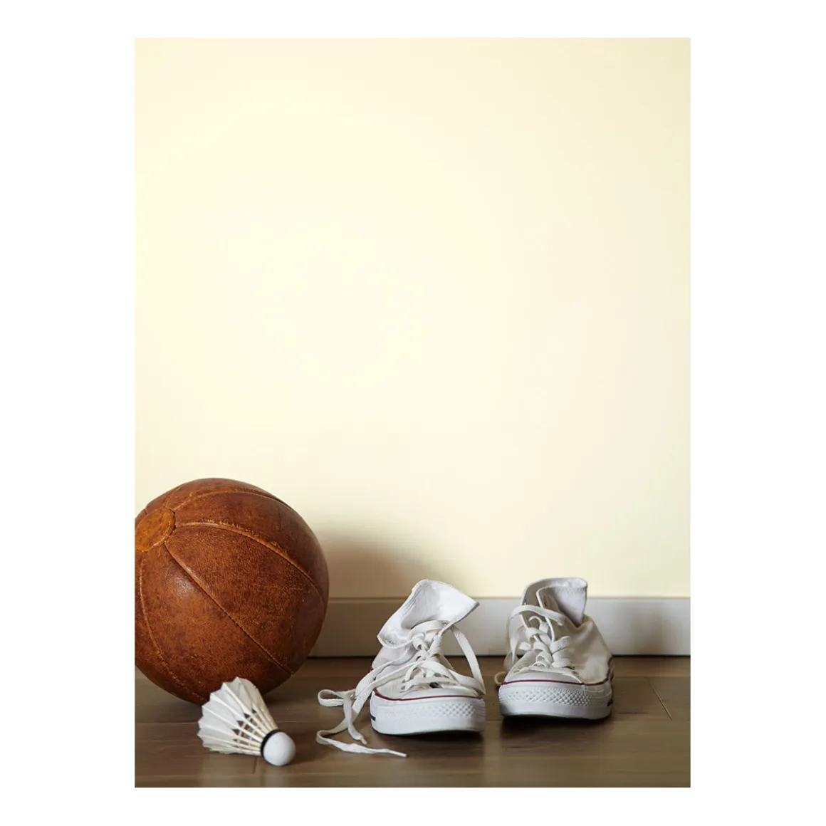 Alpina Feine Farben Zartes Leuchten 2,5 L