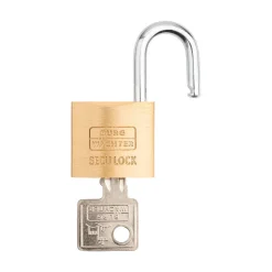 Burg Wächter Vorhängeschloss-Set Quadro 405 30 GL 28,9 x 48,9 x 11,8 mm Messing