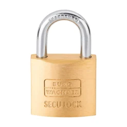 Burg Wächter Vorhängeschloss-Set Quadro 405 30 GL 28,9 x 48,9 x 11,8 mm Messing