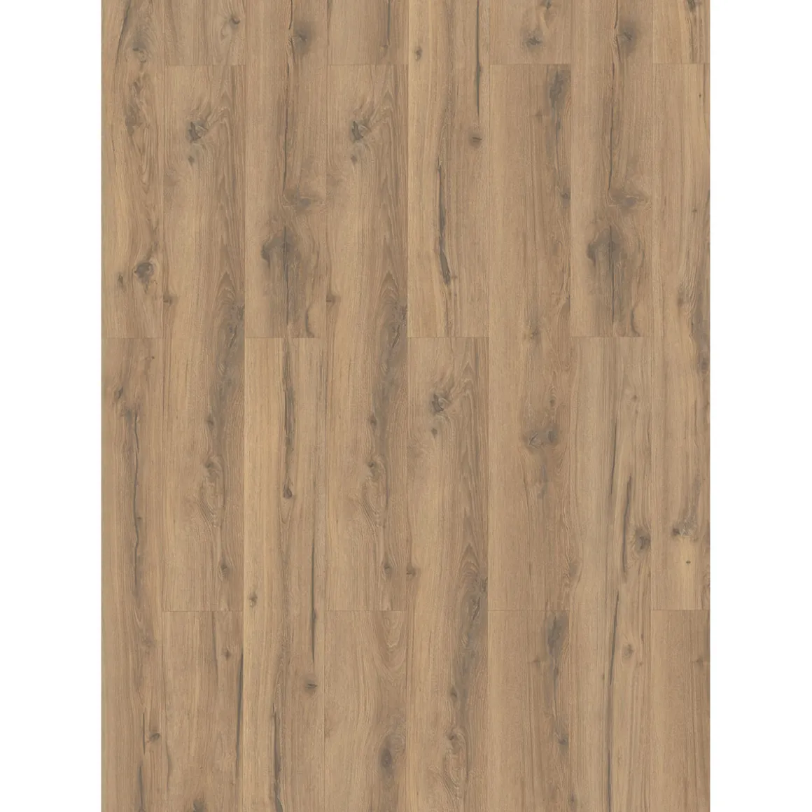 Designboden HydroClick Taupeiche