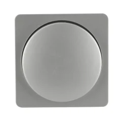 Dimmerabdeckung Le Mans silber Serie 603