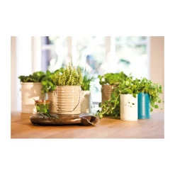 Edding  Spray 5200 hellelfenbein seidenmatt