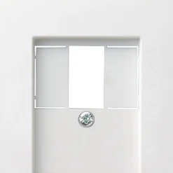 Gira TAE-Abdeckung System 55 Reinweiß seidenmatt