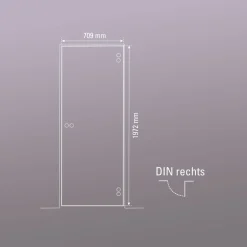 Glasdrehtür NOVA 501 70,9 x 197,2 cm Rechts