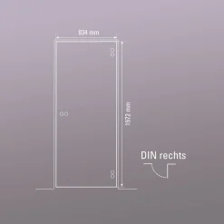 Glasdrehtür NOVA 509 83,4 x 197,2 cm Rechts