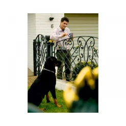 Hammerite Metallschutzlack dunkelgrün glanz 750 ml