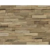 Indo FSC Teak Paneel 10 Stück 500 x 200 x 10-20 mm