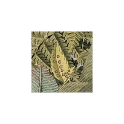 Komar  Vlies Fototapete Amazonia 368x248 cm