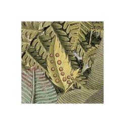 Komar  Vlies Fototapete Amazonia 368x248 cm