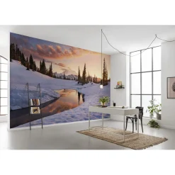 Komar  Vlies Fototapete America the Beautiful 450x280 cm