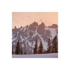 Komar  Vlies Fototapete America the Beautiful 450x280 cm