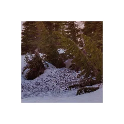 Komar  Vlies Fototapete America the Beautiful 450x280 cm