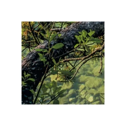 Komar  Vlies Fototapete Beautiful Germany 200x250 cm