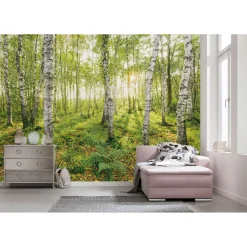 Komar  Vlies Fototapete Birch Trees 400x250 cm