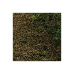 Komar  Vlies Fototapete Blütenzauberwald 450x280 cm