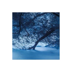 Komar  Vlies Fototapete Blue Waters 400x250 cm