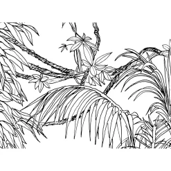 Komar  Vlies Fototapete Blanca 400x280 cm