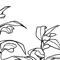 Komar  Vlies Fototapete Blanca 400x280 cm