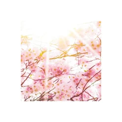 Komar  Vlies Fototapete Bloom 400x250 cm