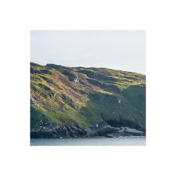 Komar  Vlies Fototapete Breath Taking 400x250 cm