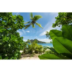 Komar  Vlies Fototapete Cast Away Jungle 450x280 cm