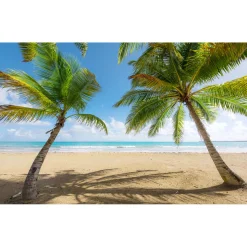 Komar  Vlies Fototapete Caribbean Days II 450x280 cm