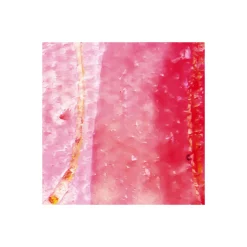 Komar  Vlies Fototapete Cells Wrapping 500x280 cm