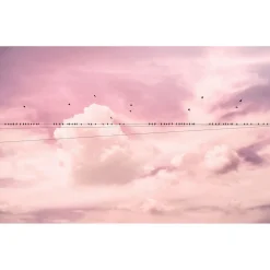 Komar  Vlies Fototapete Cloud Wire 400x250 cm