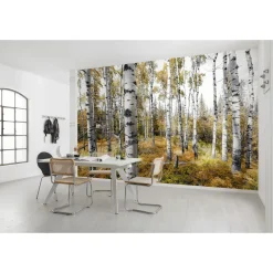 Komar  Vlies Fototapete Colorful Aspenwoods 450x280 cm