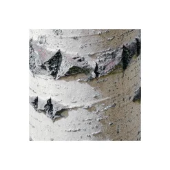 Komar  Vlies Fototapete Colorful Aspenwoods 450x280 cm