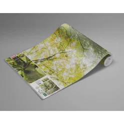 Komar  Vlies Fototapete Der Traumbaum 450x280 cm