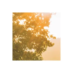 Komar  Vlies Fototapete Devil's Bridge 400x250 cm