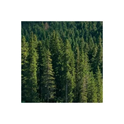 Komar  Vlies Fototapete Dolomitenjuwel 450x280 cm