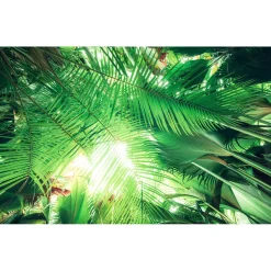 Komar  Vlies Fototapete Dschungeldach 450x280 cm