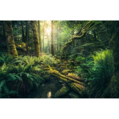 Komar  Vlies Fototapete Elves Cathedral 450x280 cm