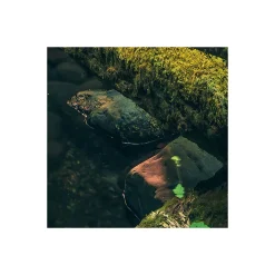 Komar  Vlies Fototapete Elves Cathedral 450x280 cm