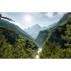 Komar  Vlies Fototapete Elbenpforte 450x280 cm