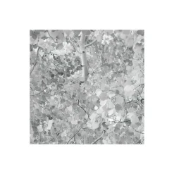 Komar  Vlies Fototapete Espenwald 450x280 cm