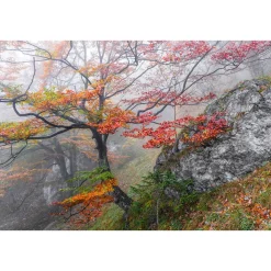 Komar  Vlies Fototapete Euphoria 300x200 cm