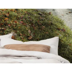 Komar  Vlies Fototapete Feuerzungen 450x280 cm