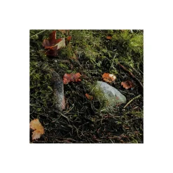 Komar  Vlies Fototapete Feuerzungen 450x280 cm