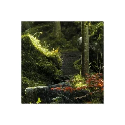 Komar  Vlies Fototapete Feuerzungen 450x280 cm