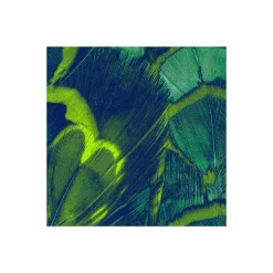 Komar  Vlies Fototapete Feathers 200x250 cm