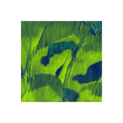 Komar  Vlies Fototapete Feathers 200x250 cm