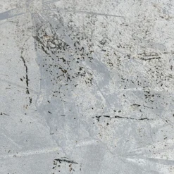 Komar  Vlies Fototapete Flower Fossil 200x280 cm